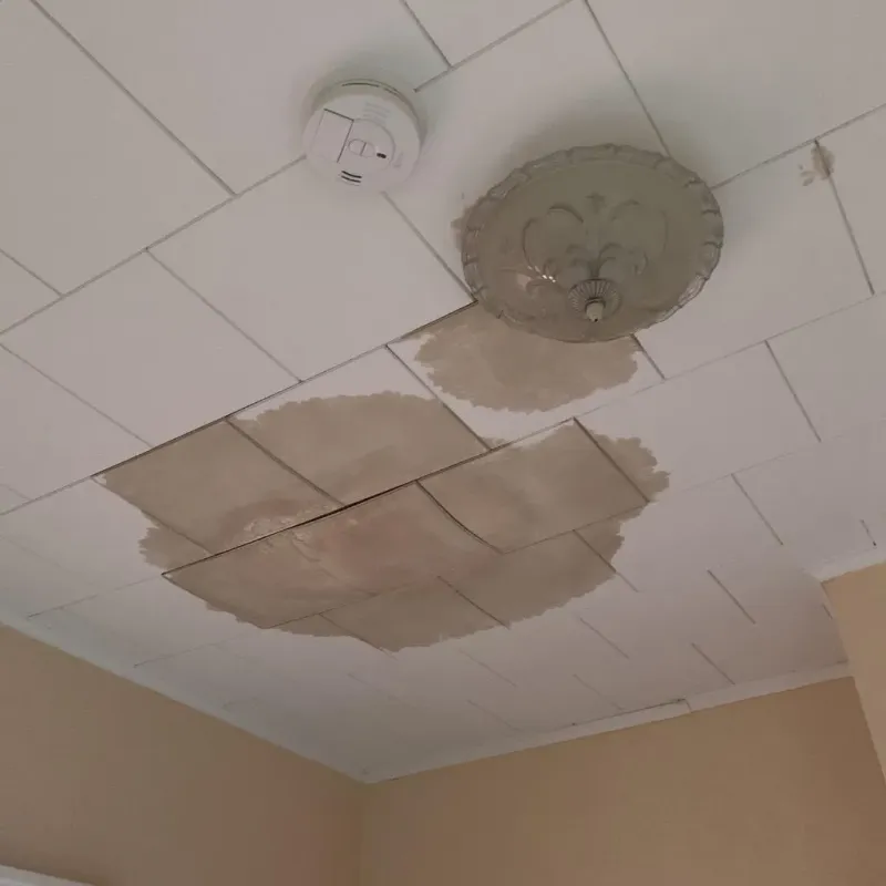 Ceiling Water Damage Repair in Arden Hills, MN