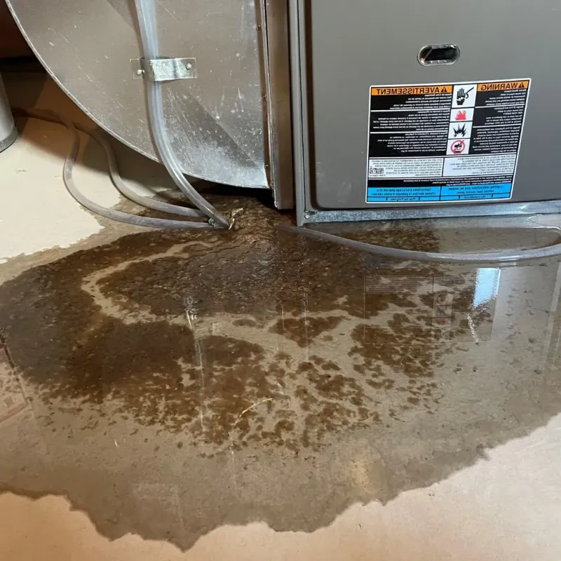 Pipe Burst and Leak Restoration in Arden Hills, MN